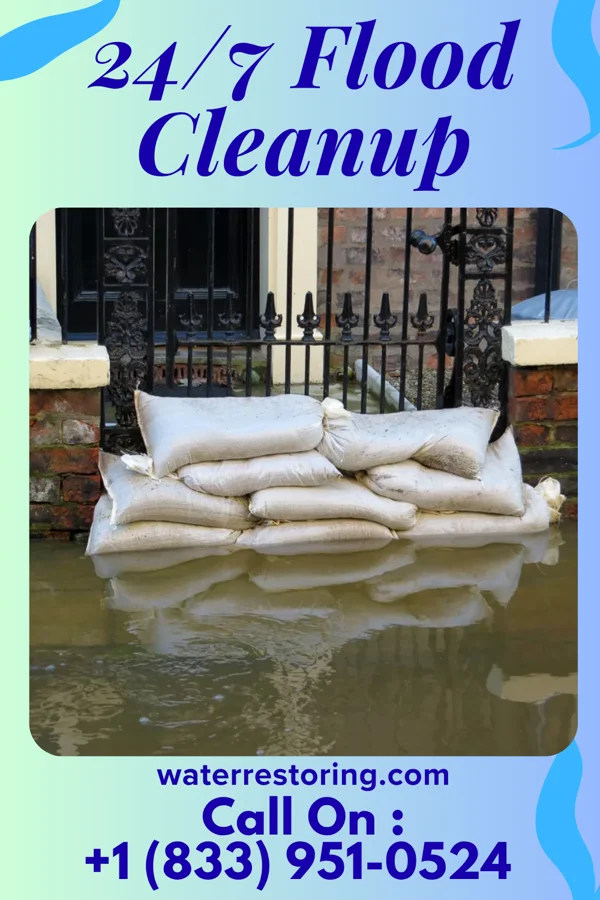 24/7 Flood Cleanup in Harbor Island, SC