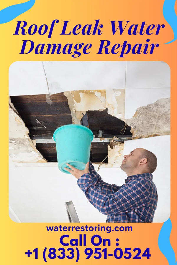 Roof Leak Water Damage Repair in Harbor Island, SC
